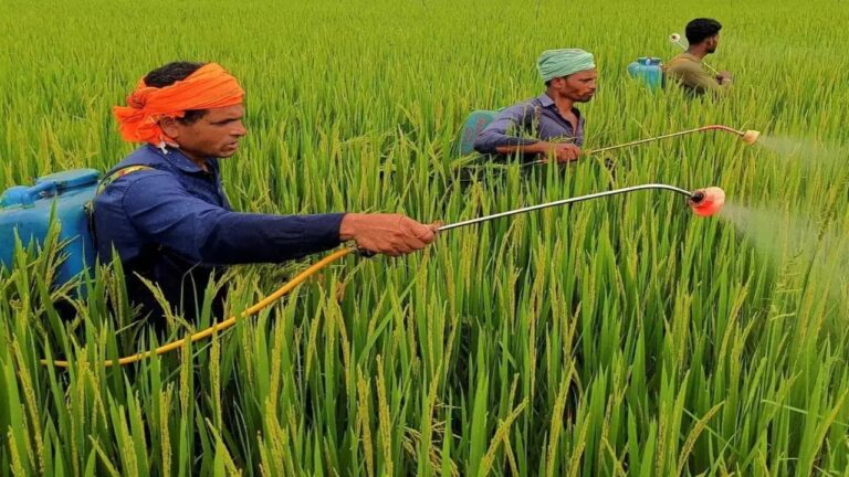 Good News for Farmers – Get 55% Subsidy Under This Scheme – Here How to Apply