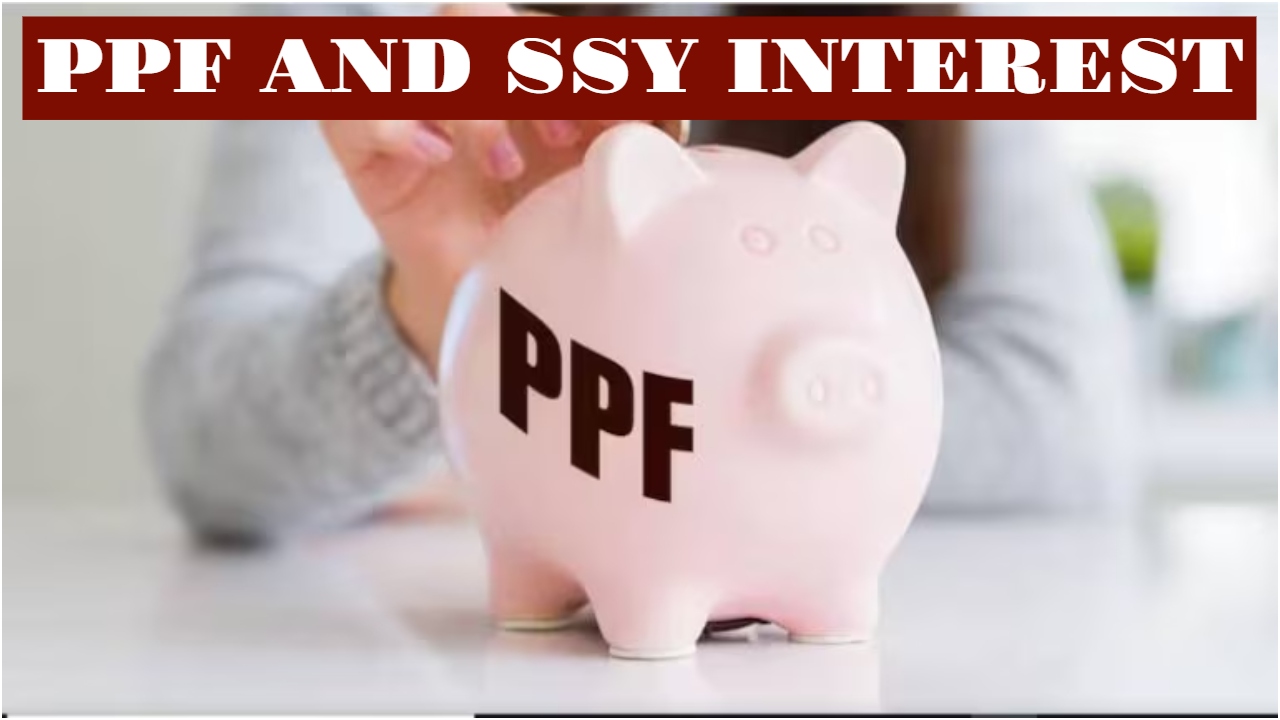 How much have the PPF...
