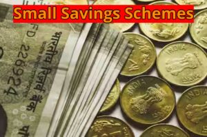 Strength of PPF and Sukanya Samriddhi, Investments Break Records Even Under the New Tax Regime