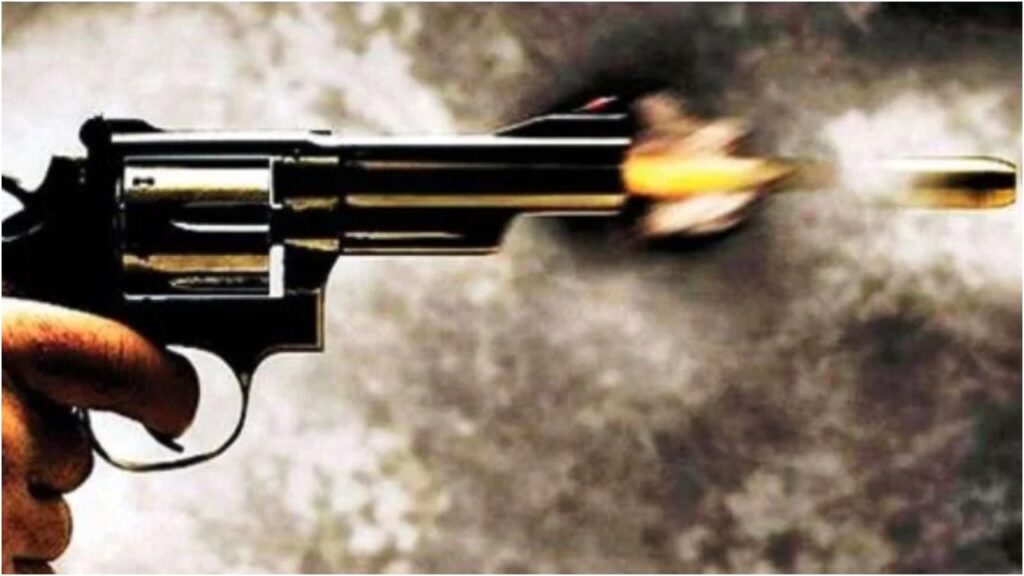 Indian-origin man in the US kills wife, updates