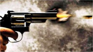 Indian-origin man in the US kills wife, updates