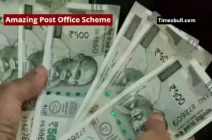 Amazing Post Office Scheme, Invest Rs 333 Daily and Earn Rs 500000 in Interest Alone, Know the Details in Business category