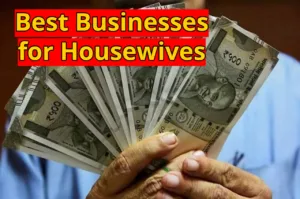 Golden Opportunity for Housewives, Start These Businesses from Home and Increase Your Income in Business category