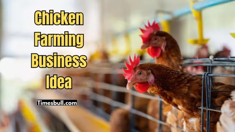 Chicken Farming Business