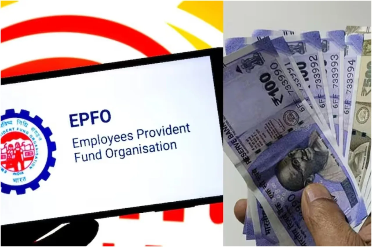 EPFO – PF money won’t be transferred to bank account! Do this work soon - Times Bull