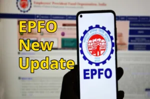 PF Account Holders Are Thrilled with the EPFO's New Facility, You Will Be Delighted to Learn More in Business category