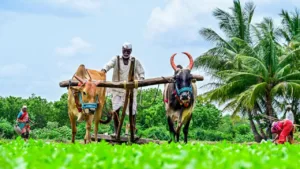 Big News! Get ₹1500 Yuvasathi if You Already Have Krishak Bandhu – Apply This Way in Business category