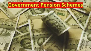 End the Tension of Old Age! These 5 Government Pension Schemes Will Provide a Stable Monthly Income in Business category