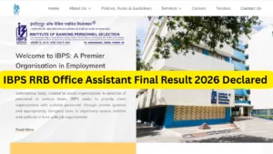 IBPS RRB Office Assistant Final Result 2026 Declared - Check Selection List at ibps.in in Education category