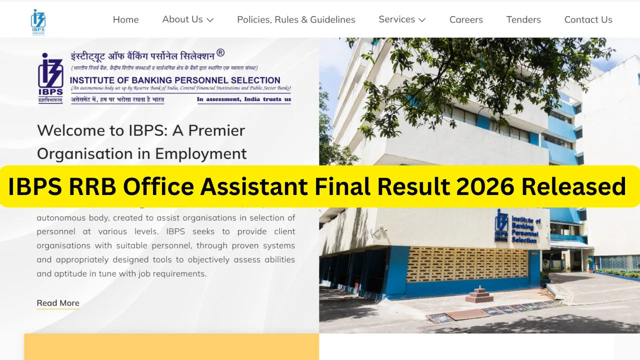 IBPS RRB Office Assistant Final Result 2026 Released