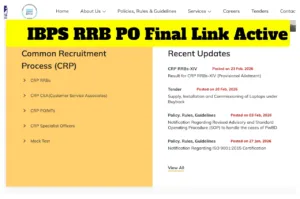 IBPS RRB PO Final Link Active - Direct Link to Check Cut-off Marks and Interview Results at ibps.in in Education category