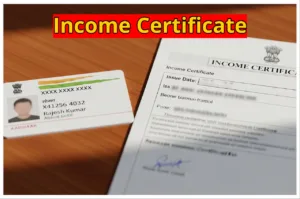 No Need to Visit Government Offices Anymore, Now Get Income Certificate from the Comfort of Your Home in Business category