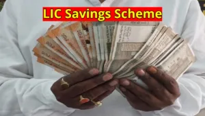 Invest ₹250 Daily in this LIC Savings Scheme, Earn ₹54 Lakh Upon Maturity in Business category