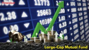 Stock Market 2026: Large-Cap Funds Offer Stability in Uncertain Times in Business category