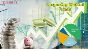 Stock Market Strategy 2026: Large Cap Shares Offer Safety, Dividends & Liquidity - in Business category