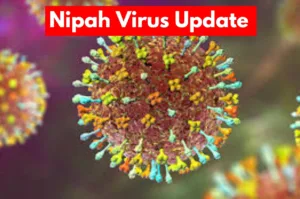 Nipah Virus - Nipah Virus to Woke Havoc! Know the Symptoms Before it Spreads