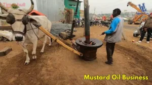 Oil Press Business 2026: Earn ₹60,000/Month from Cold-Pressed Oil, Get Up to 35% Subsidy in Business category