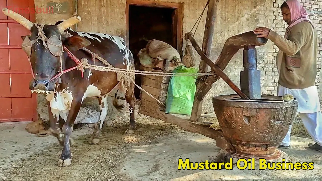 Oil Press Business 2026: Earn ₹60,000/Month from Cold-Pressed Oil, Get Up to 35% Subsidy - Times Bull