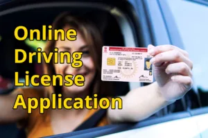 DL Online: Apply for a Driving License from Home in Minutes, Learn the Complete Process in Business category