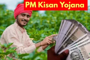 PM Kisan Yojana - Link Your Name Easily in PM Kisan Scheme, Know the Process in Business category