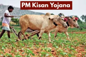 Farmers Hit Jackpot in Budget, Rs 63,500 Crore Fund Approved in Business category