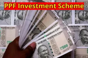 You Can Become a Millionaire with PPF, Here Are 5 Smart Rules You Need to Know in Business category