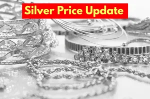 Silver Price Update - Check Silver Rates in 12 Cities, 1 Kilogram Today in Business category