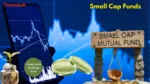 Small Cap Funds