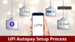 UPI Autopay Setup Process