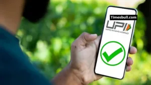 UPI Has Made Life Easier, But Increased Wasteful Spending, Know How to Control Spending in Business category