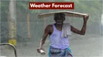 Weather Alert – Heavy Rainfall Alert in These States for the Next 72 Hours, Know the Forecast