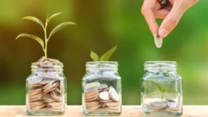 PPF vs SIP: Where Will Rs 5,000 Per Month Grow More in 25 Years? in Business category