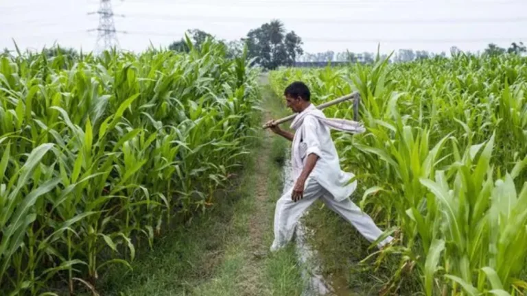 RBI New KCC Rules 2026: 5 Big Changes That Benefit Farmers Explained