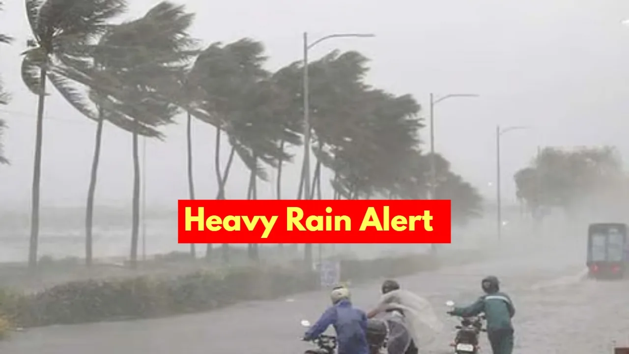 Heavy Rain Alert