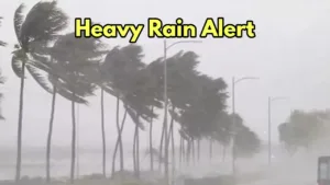 Heavy Rain Alert