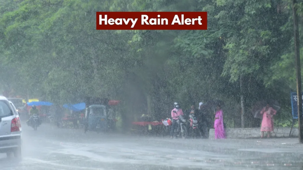 Heavy Rain Alert