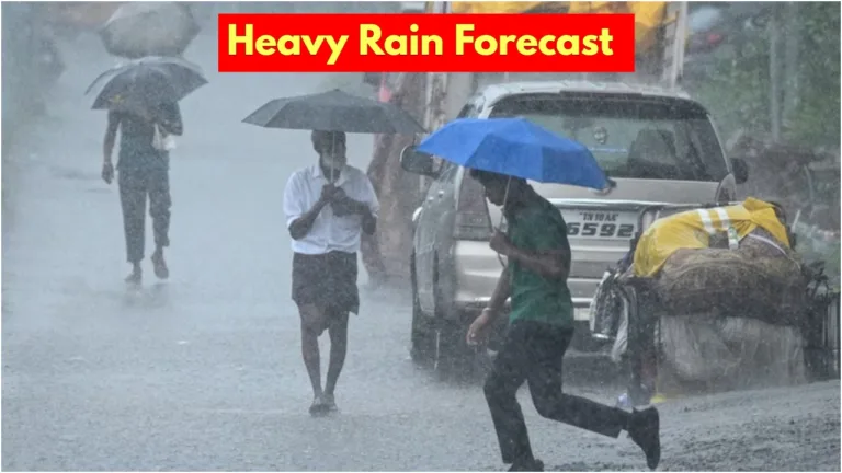 Heavy Rain Alert