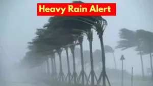 Heavy Rain Alert