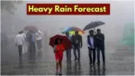 Heavy Rain Forecast
