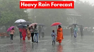 Heavy Rain Forecast
