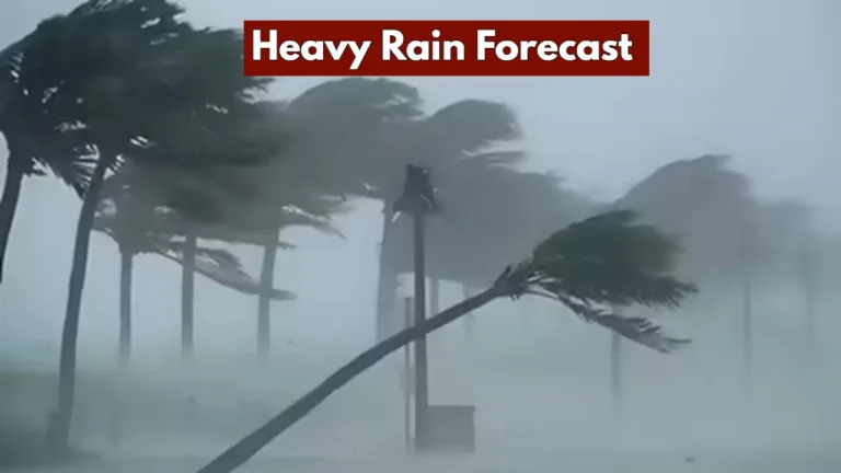 Heavy Rain Forecast