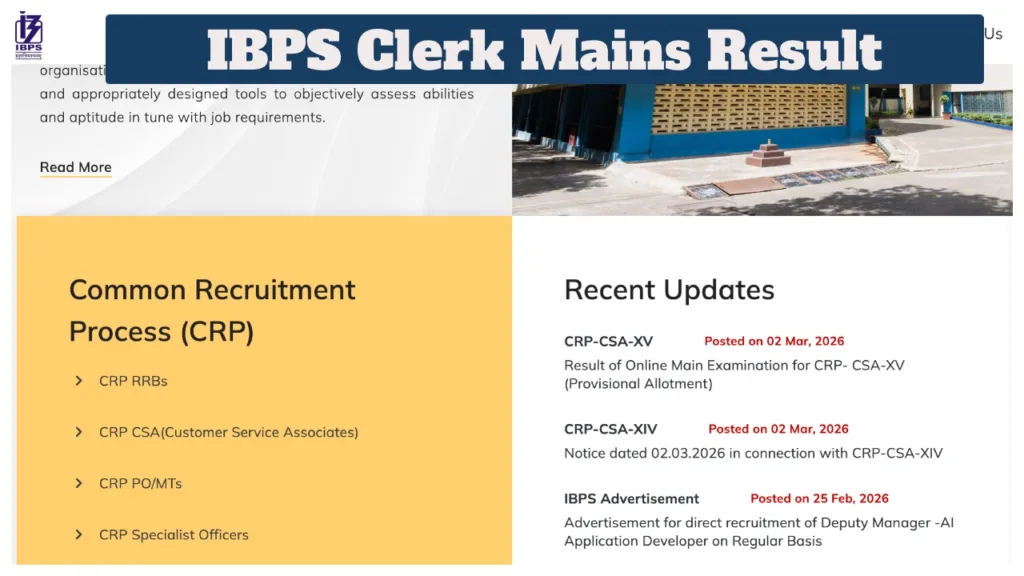 IBPS Clerk Mains Result – Check State-wise Cut-off & LPT Details at ibps.in