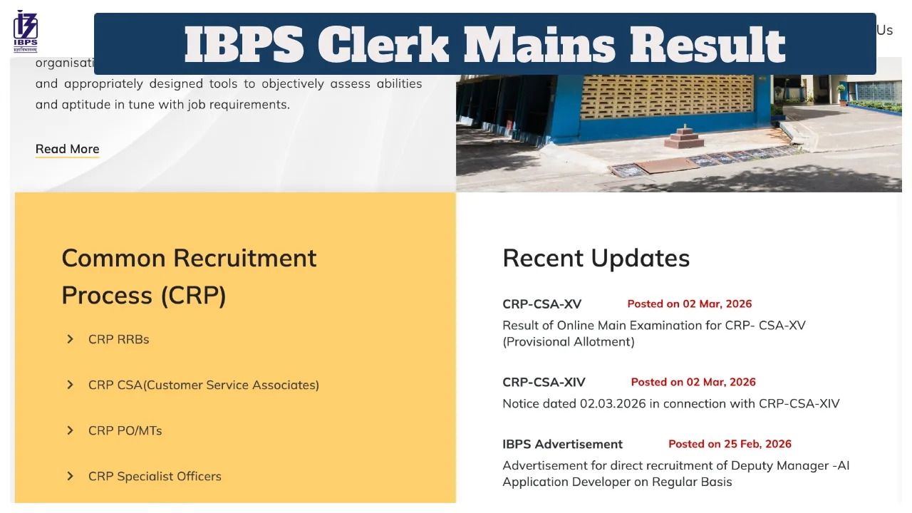 Ibps Clerk Mains Result
