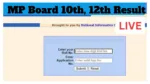 MP Board 10th, 12th Result  – How to Check Class 10 & 12 Scores Via Roll Number, Here Direct Link
