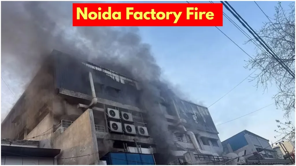 Fire breaks out at electric meter factory in Noida, 37 workers injured