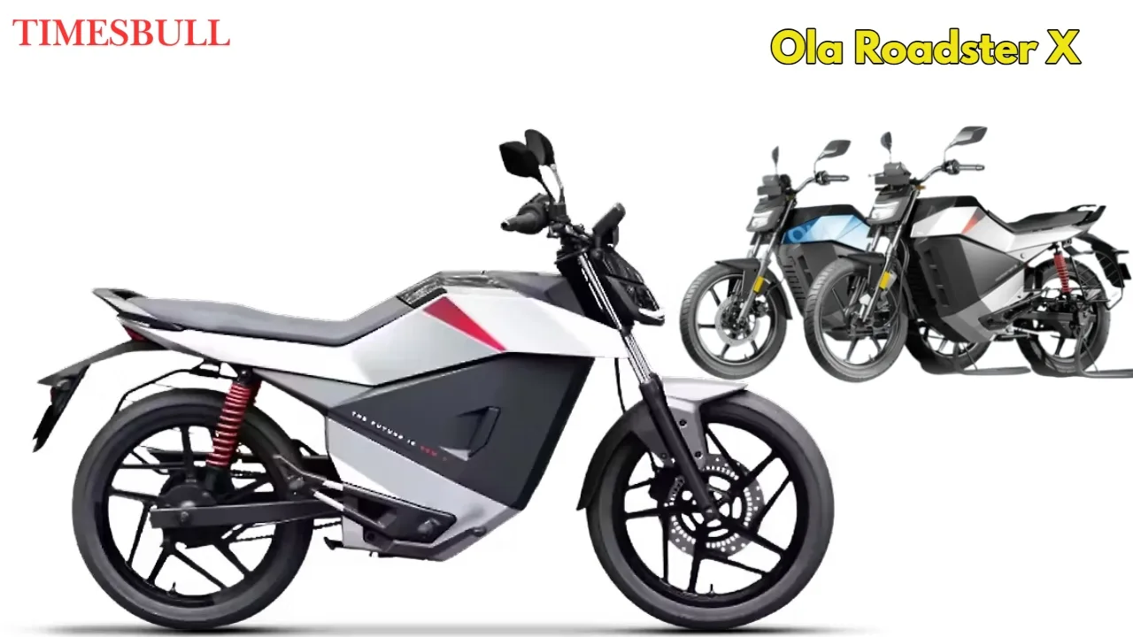 Ola Roadster X (3)