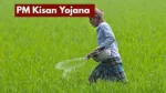 PM Kisan Yojana