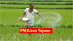 PM Kisan Yojana