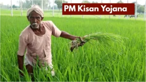 PM Kisan Yojana