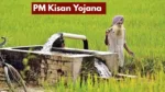 PM Kisan Yojana – These Farmers Won’t Get ₹2,000 Installment! Know Update